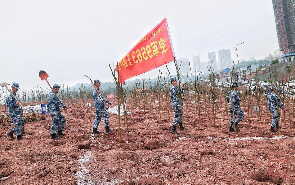 泸州设市级机关和市民"专场",万株苗周二,周六免费种!