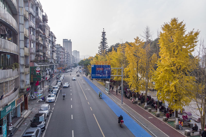 雅安雨城区人口_雨城人,2019年雨城中心城区小学开始招生啦 你想知道的都在这(2)