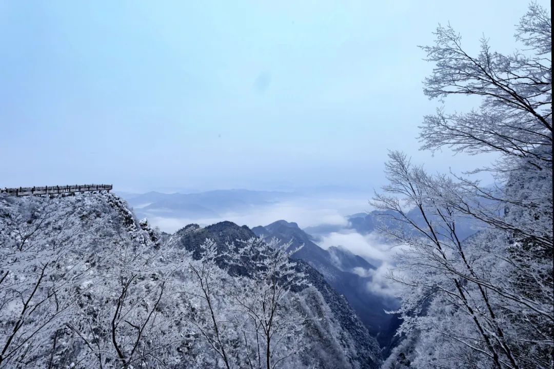 今日八台山雪景出炉太美了已成仙境雪景大片来袭