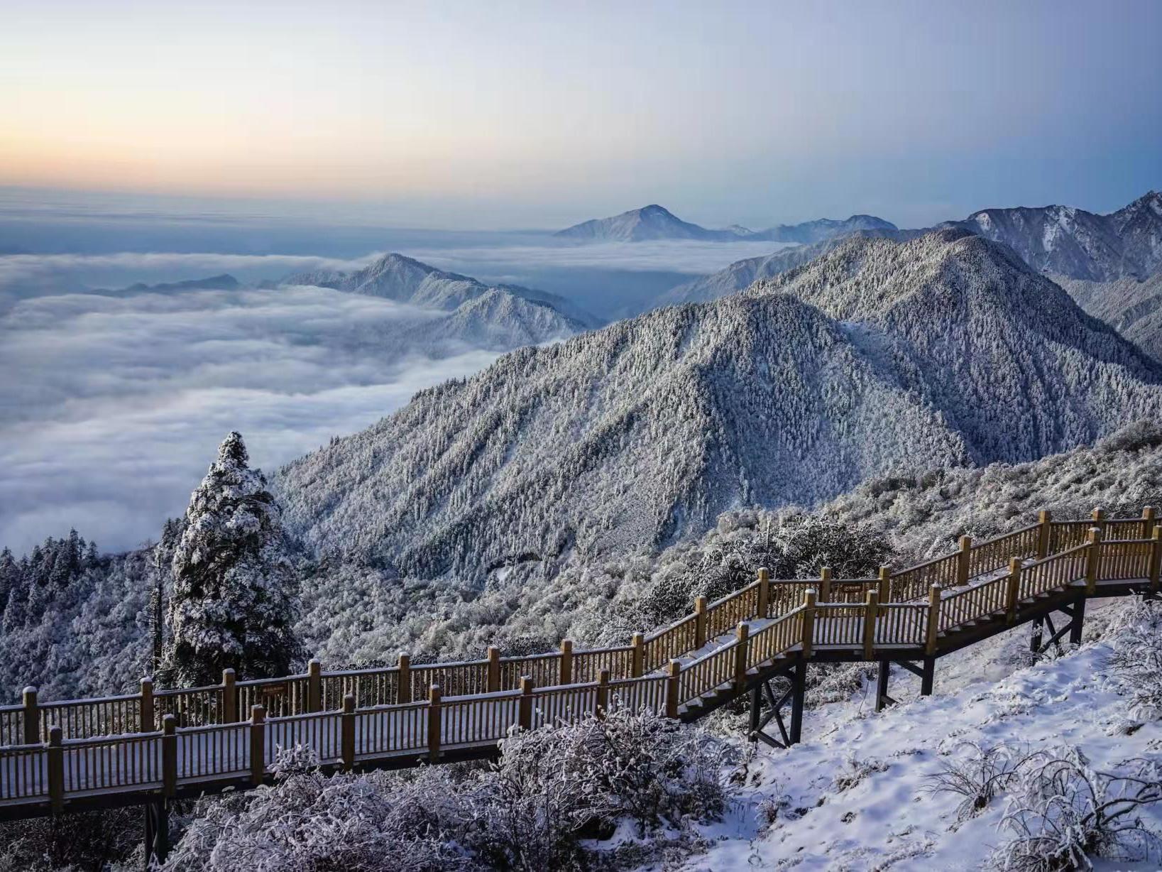 四条线路开启成都冬旅  西岭雪山邀客畅玩南国冰雪节