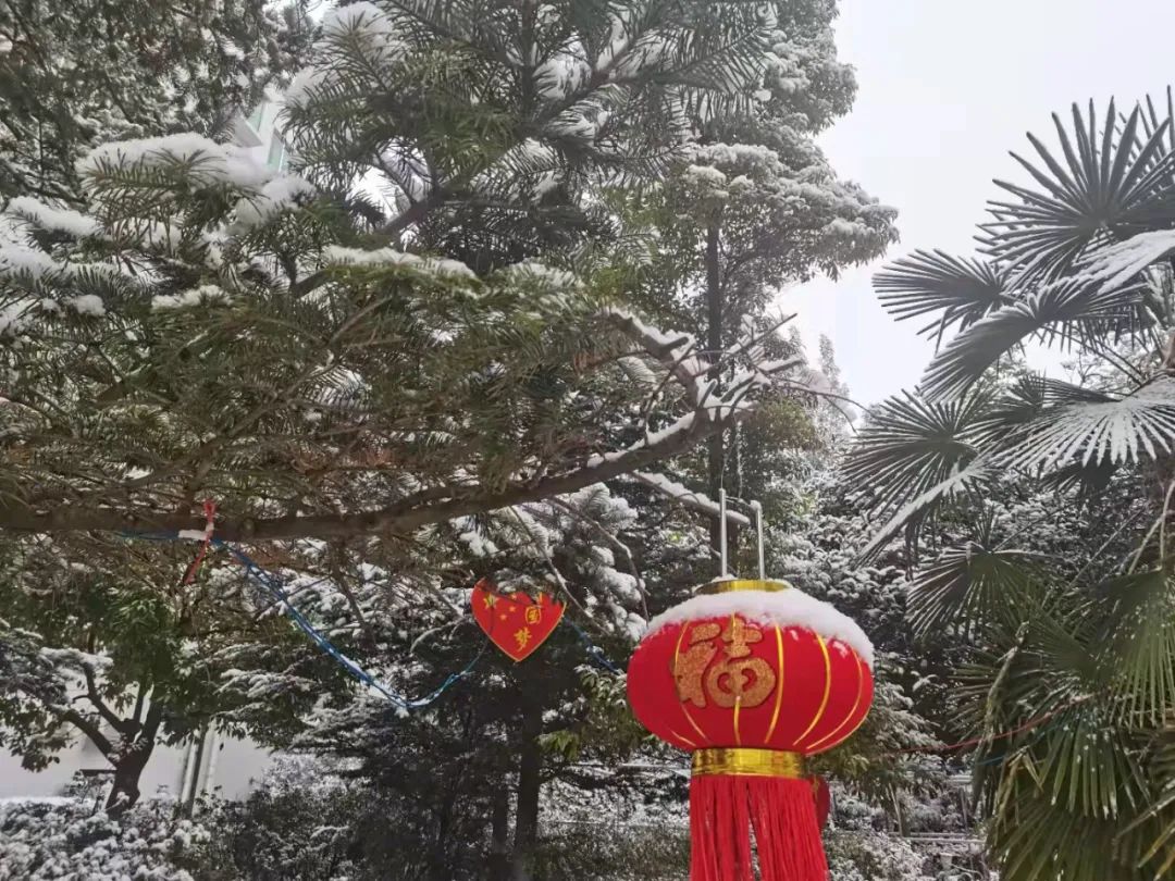 瑞雪兆丰年|虎年盐源第一场雪掠影 川观新闻