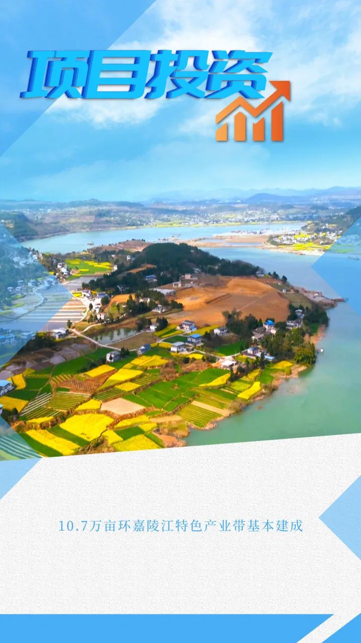 回眸2021展望2022系列海报⑥铸强项目投资引擎蓄积高质量发展动能