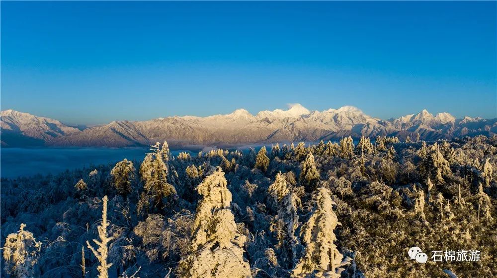 好消息王岗坪景区拟评为4a级景区