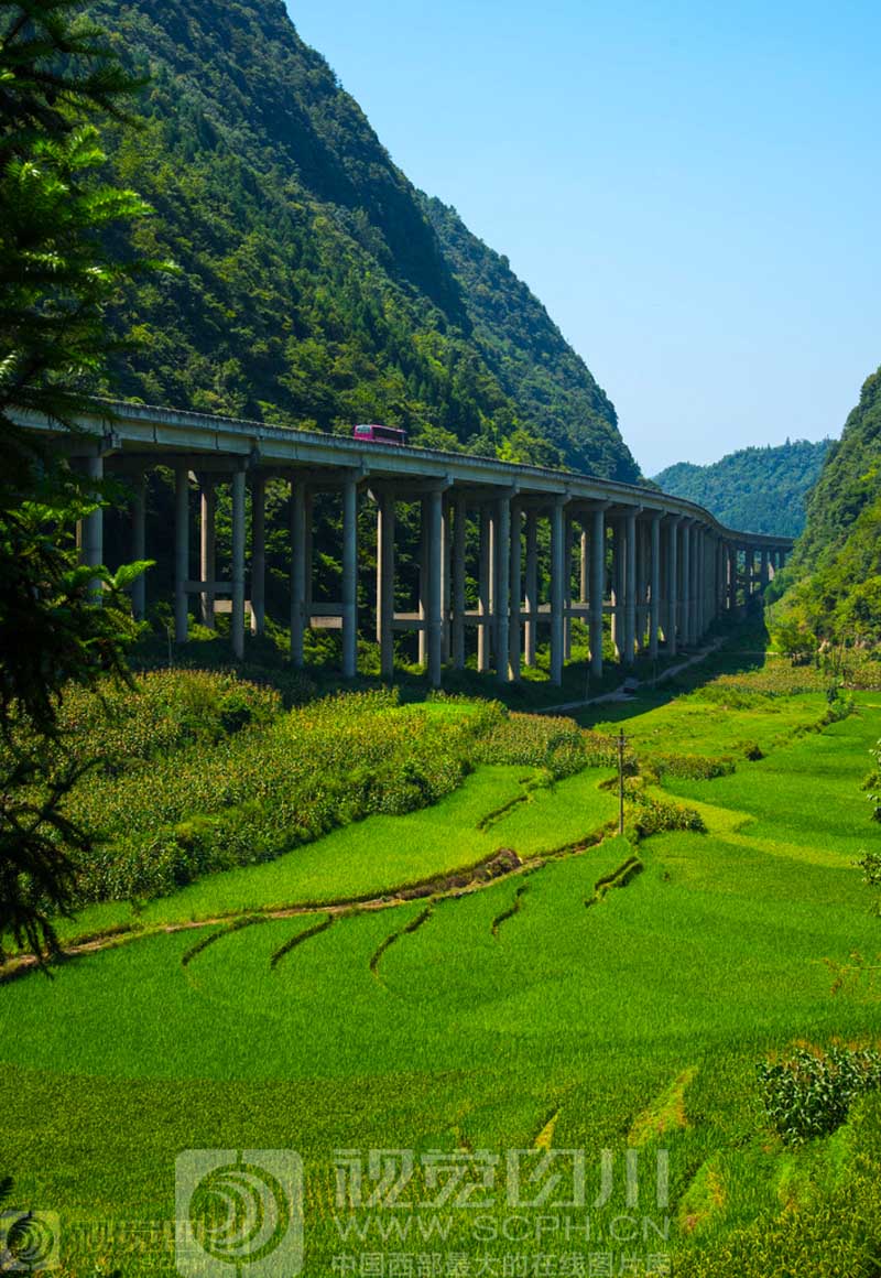 8月22日,位于叙永县境内的川黔高速金榜特大桥盘旋在青山和田野间.