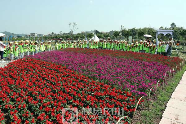 四川省广安市广安区希望小学一年级小学生在校外实践基地"银城花海"