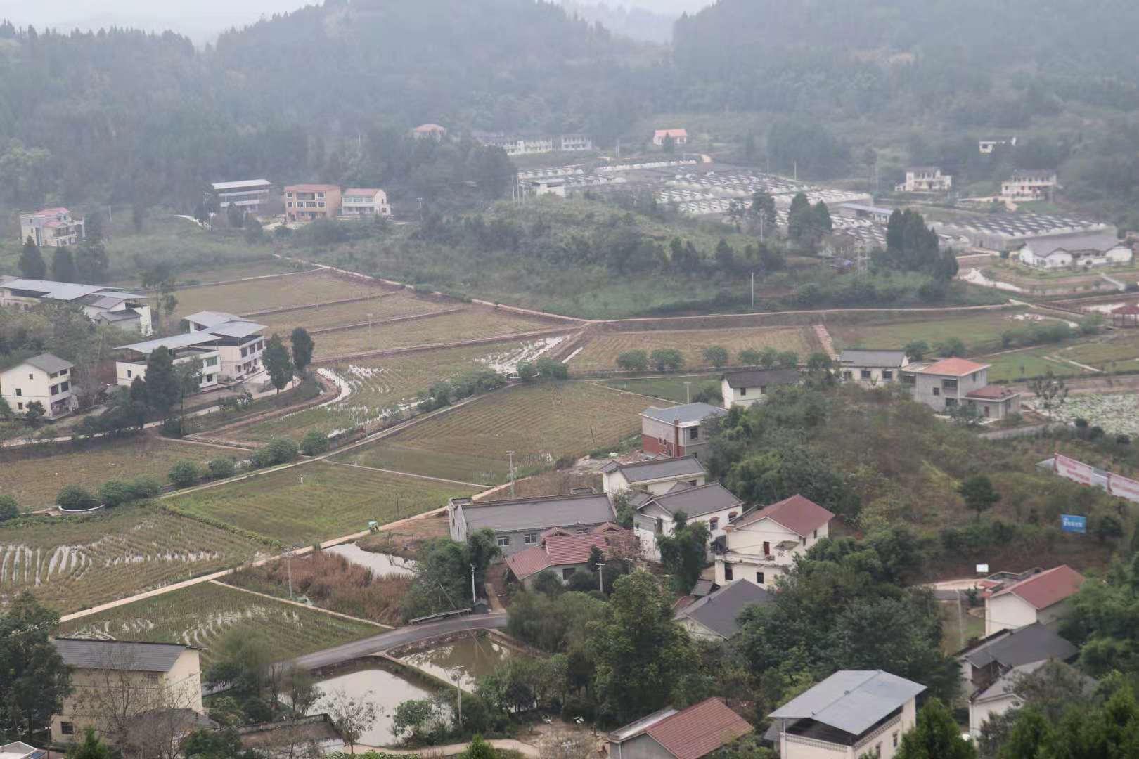 各地市州扶贫移民局相关负责人,先后来到蓬溪县常乐镇拱市村和蓬溪