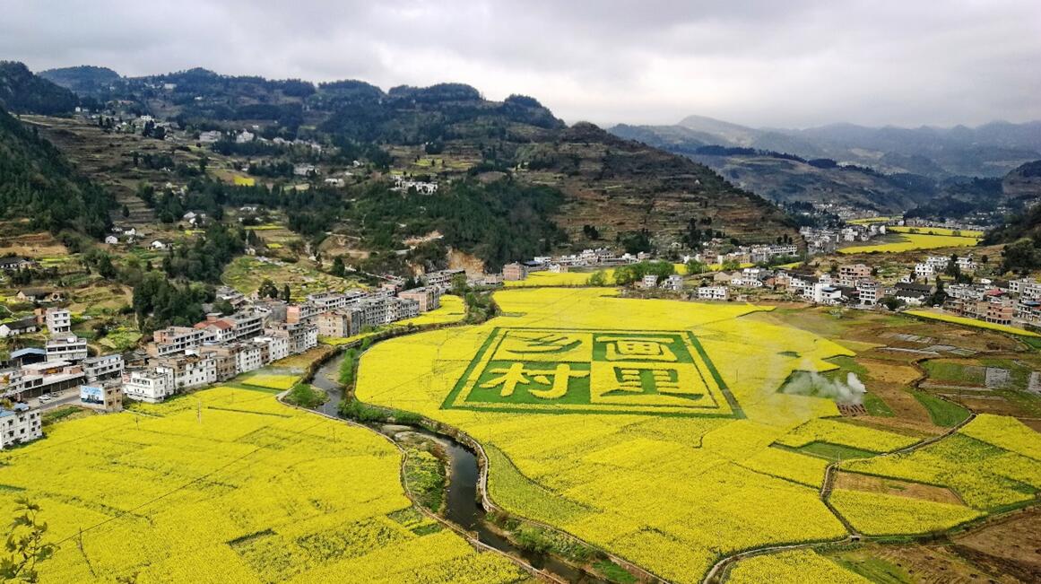 梨花,樱桃花,油菜花,一次看够!