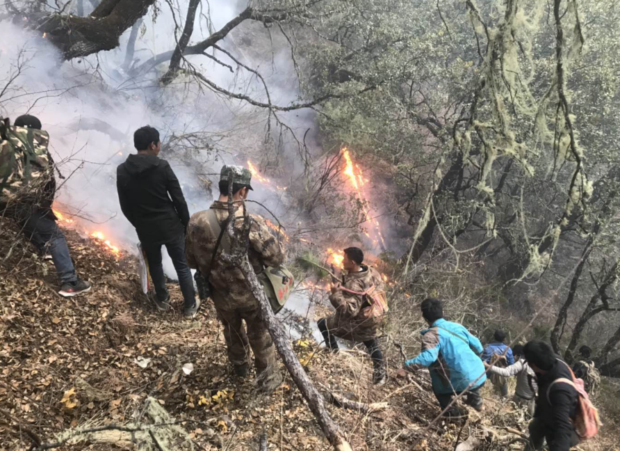 凉山森林火灾:越西火已灭 1600余人全力扑救木里冕宁森林大火