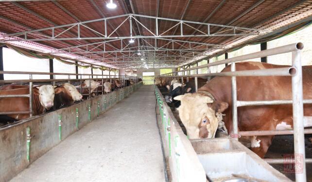 想的美[呲牙]@邵东糟老头子：再过七八年。我就回到生我养我的农村老家。城里是房。老家才是家。到时回到老家拿着两老口微博的退休金种点蔬菜水果花草。空闲时间钓鱼。喝茶开元棋牌- 开元棋牌官方网站- 开元棋牌APP下载。今年九月份回老家建房。明年装修。