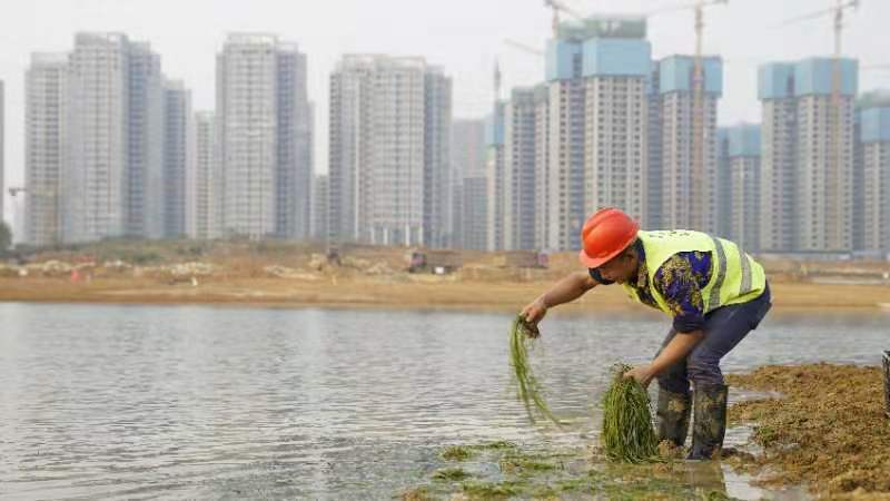 沿湖区的大坝沟已完成引入长约0米的行洪暗渠,以保证水体不被