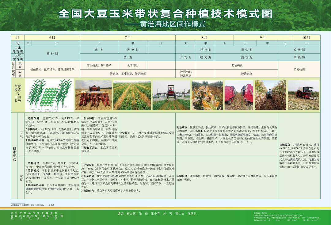 收藏农业农村部发布大豆玉米带状复合种植指南