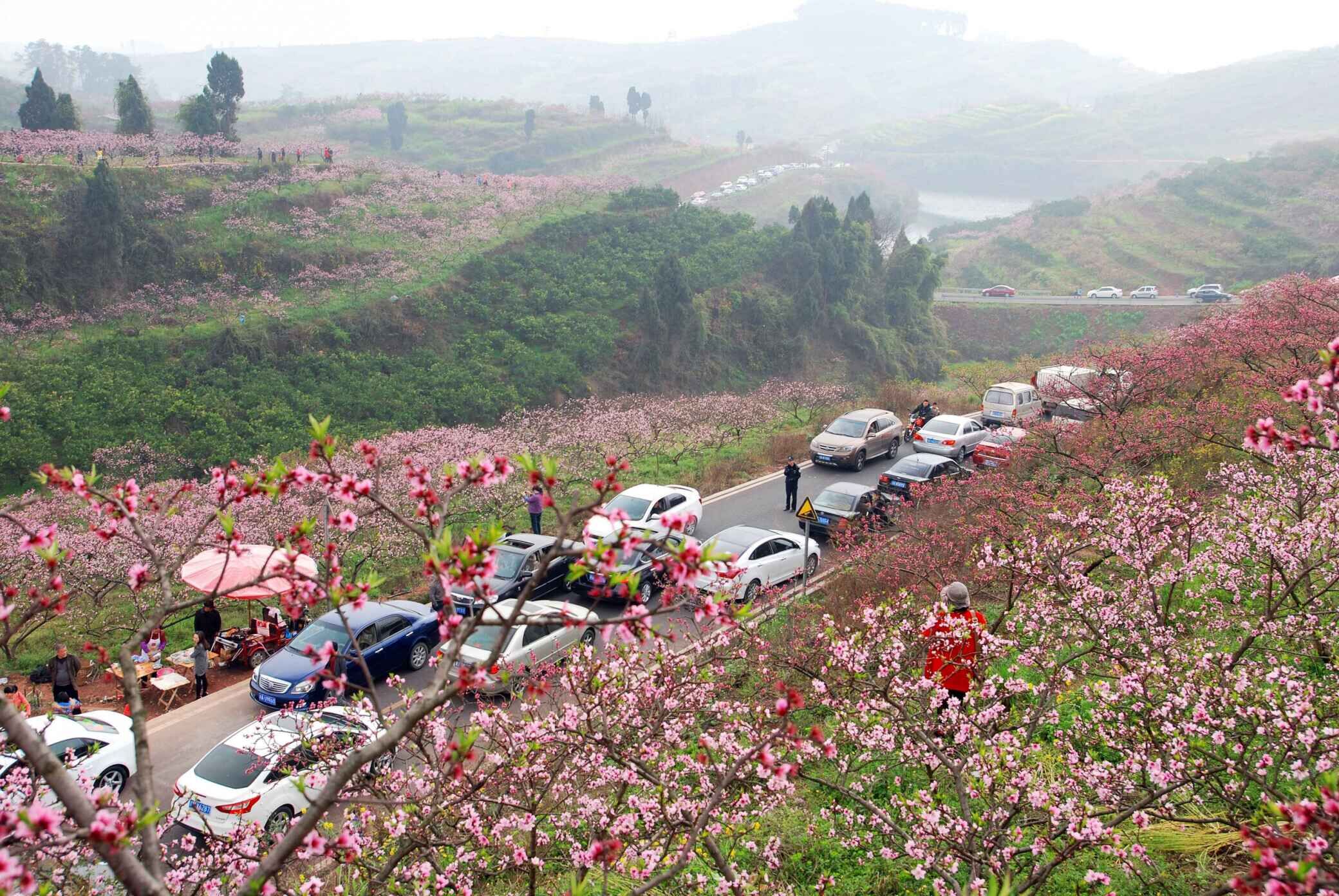 丹棱首次面向全国招聘乡村规划师 年薪最高15