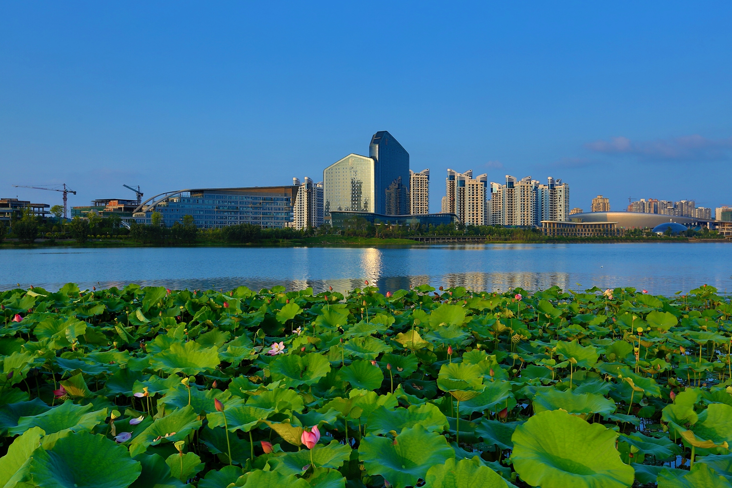 遂宁海绵城市建设③丨创新探索 用"小""巧""省"的本土