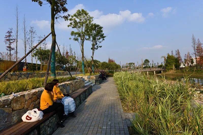 据了解,西河故道生态廊道工程位于新津老城区,北接三渡水大桥,南至南