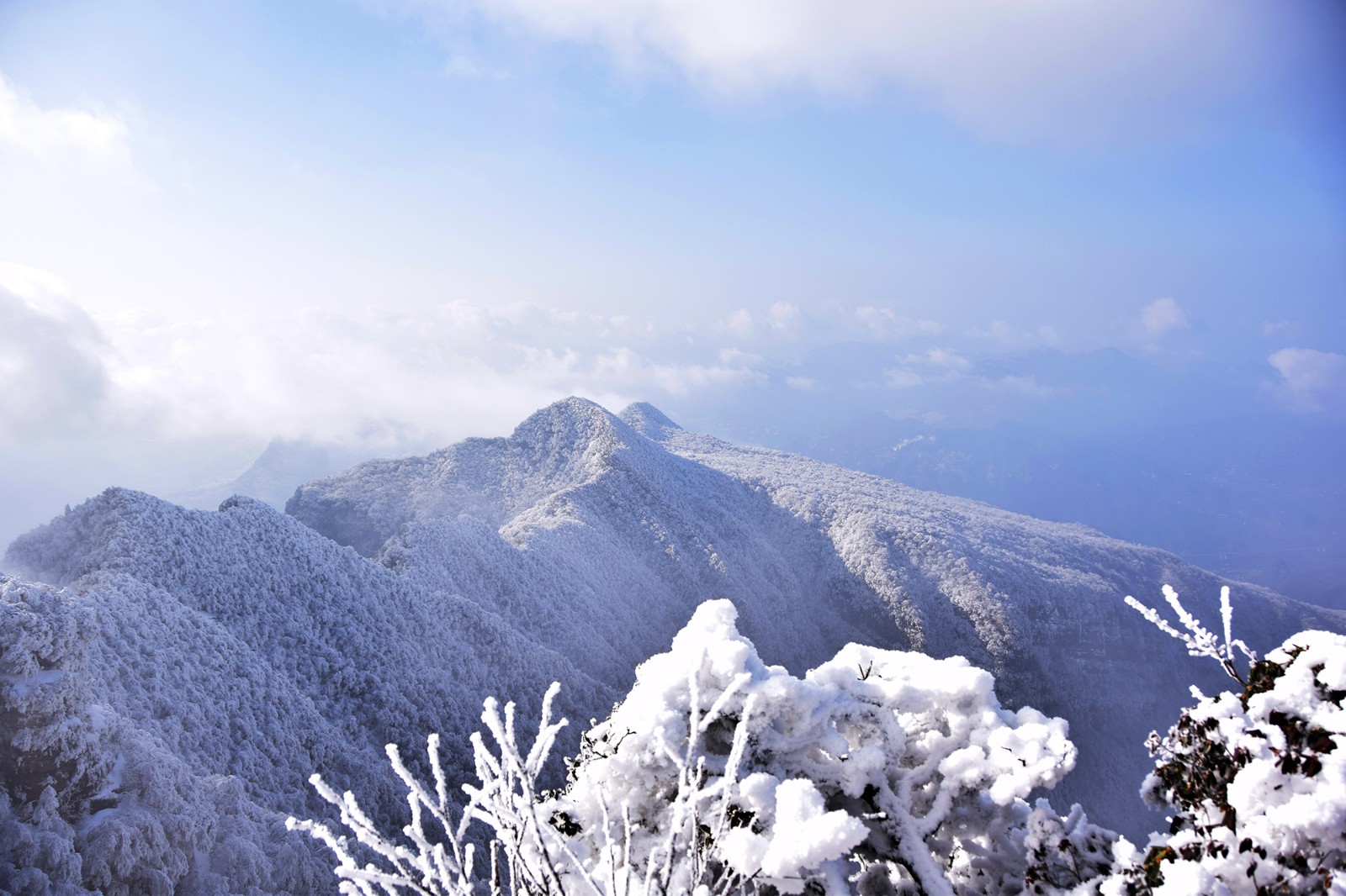 光雾山最美雪景如约而至