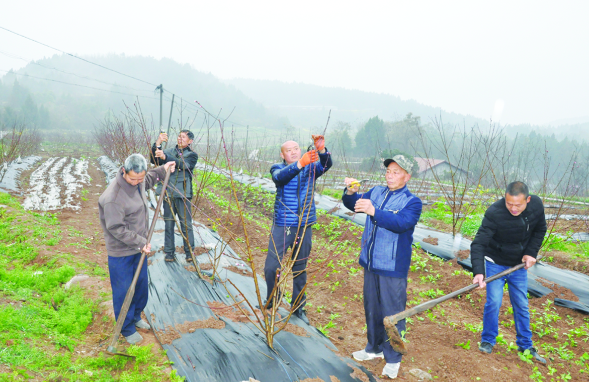 三台县塔山镇白龙村办起扶贫车间贫困户家门口就业增收摘穷帽