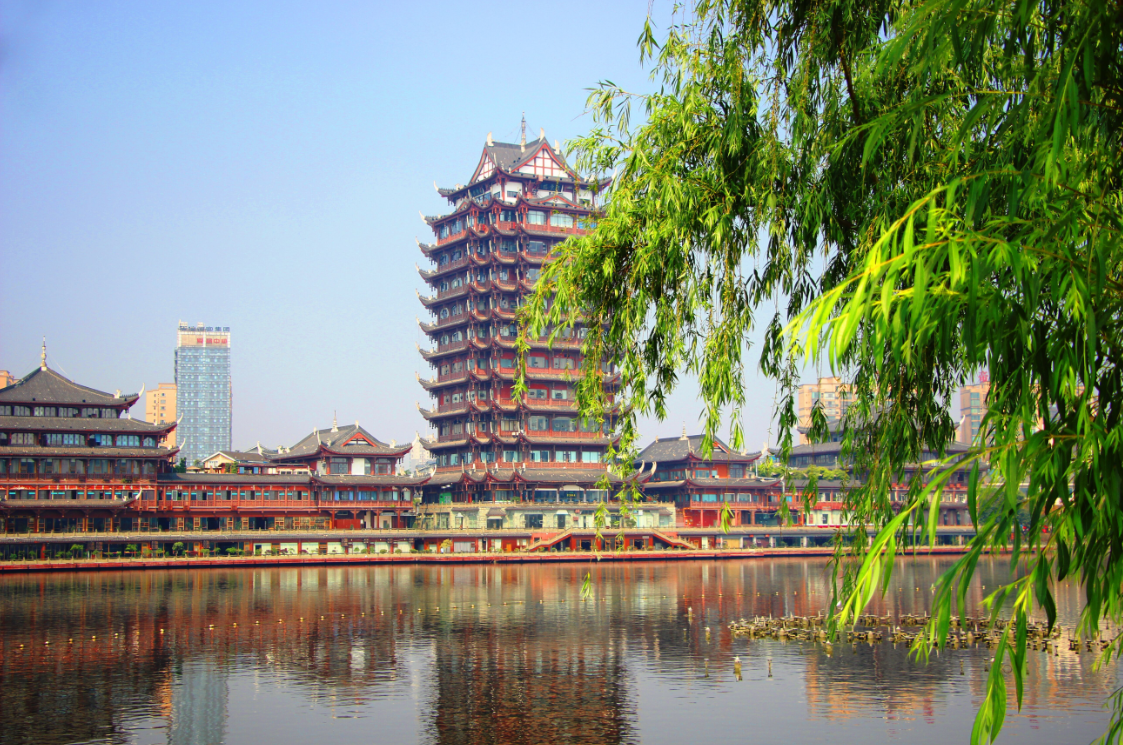 竹柏什么成语_竹柏盆景图片(3)