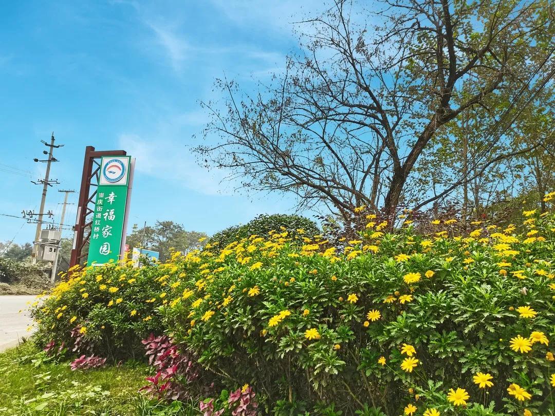崇庆街道红桥村