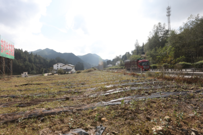 万源市石塘镇产业与民生齐头并进打造两项改革后半篇文章样板地