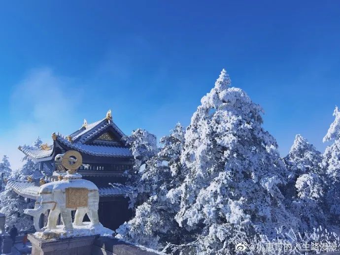 十二月的当务之急,是来峨眉山看一场雪 川观新闻