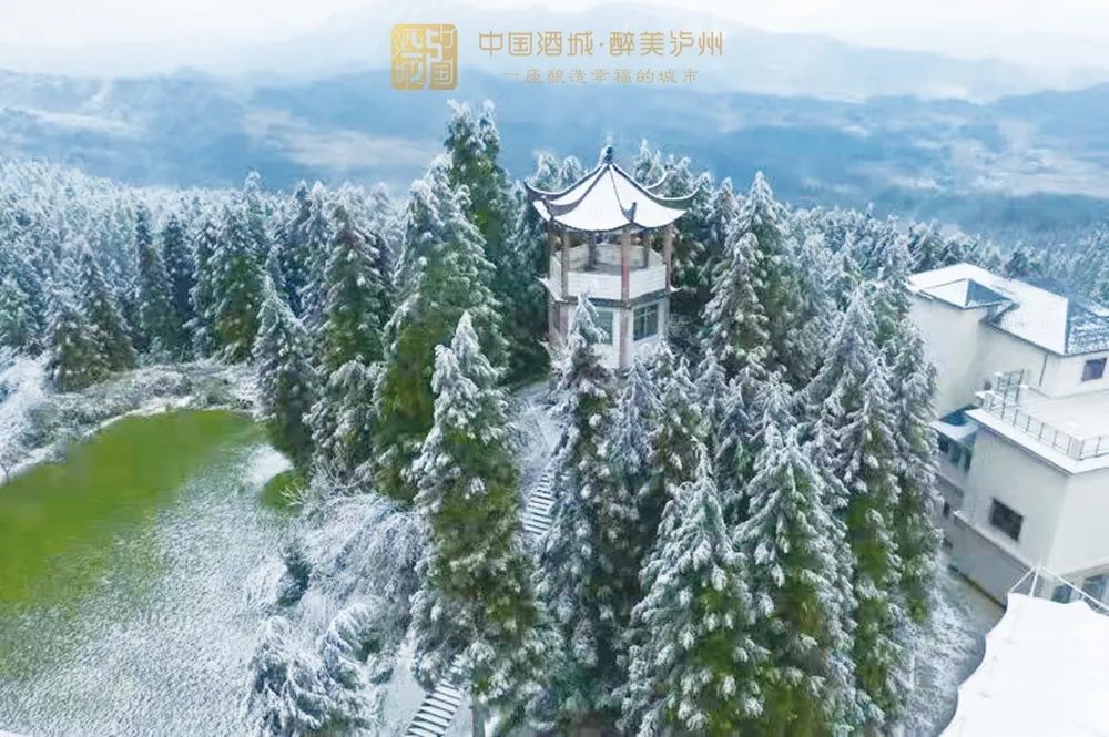 过江通道建设新型消费场景打造高铁新城组团泸州的2022年值得期待