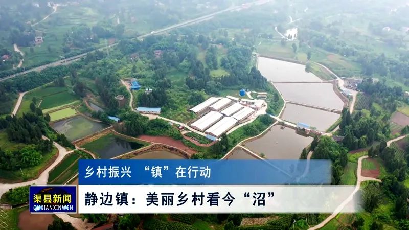 乡村振兴镇在行动静边镇美丽乡村看今沼