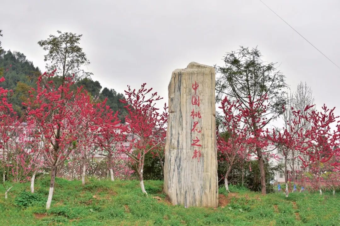 闲暇时光来苍溪黄猫垭发现不一样的美景