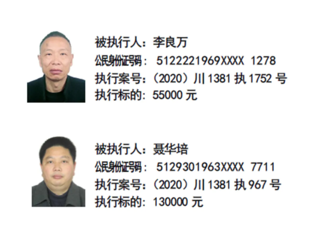 阆中法院曝光最新一批失信被执行人员名单! - 川观新闻