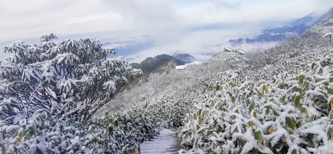 八台山今日雪景实拍宛如人间仙境