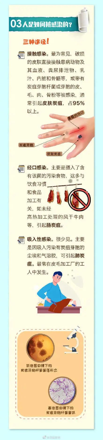 一图了解炭疽到底是什么