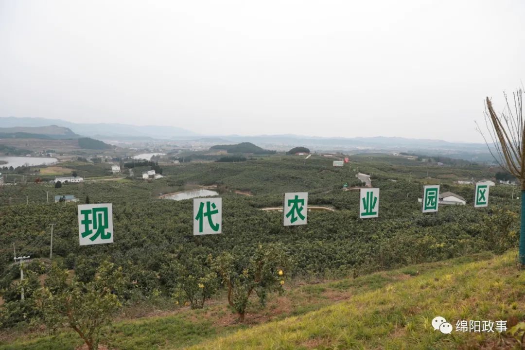 罗增斌在梓潼调研时强调立足资源禀赋培育优势产业坚持走富有特色的丘