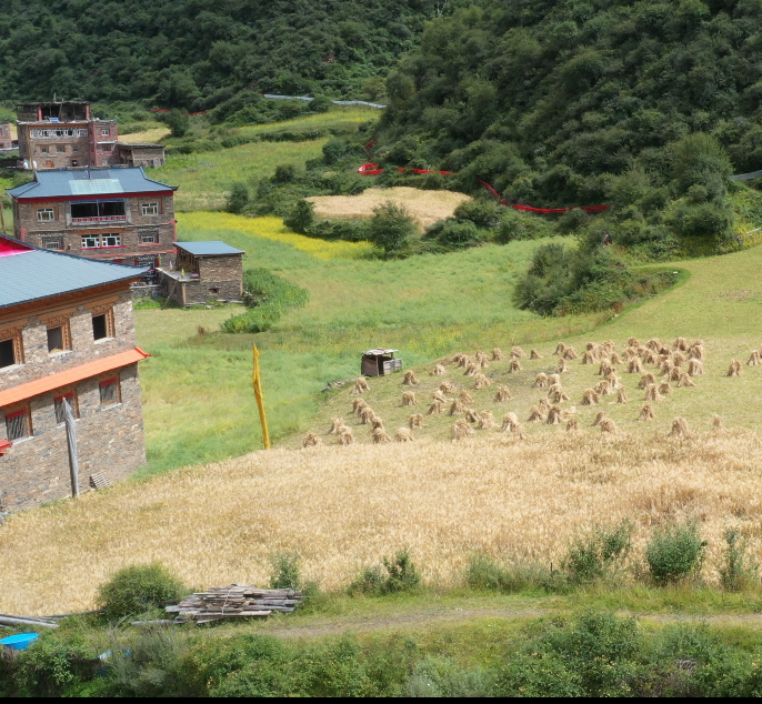 壤塘中达石沟村旧貌换新颜振兴奔小康