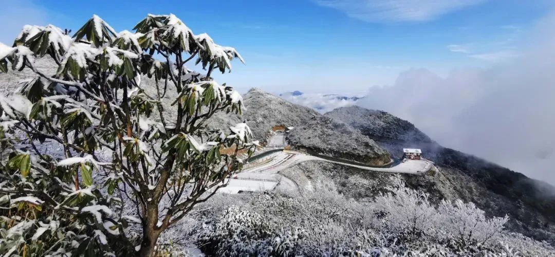 八台山今日雪景实拍宛如人间仙境