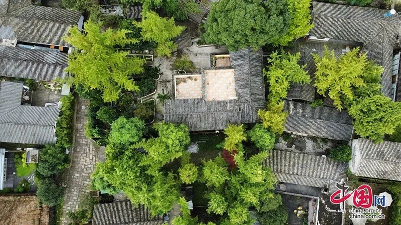 各林盘景区代表分别展示了严家弯湾,学习强国主题公园,庙湾林盘,小