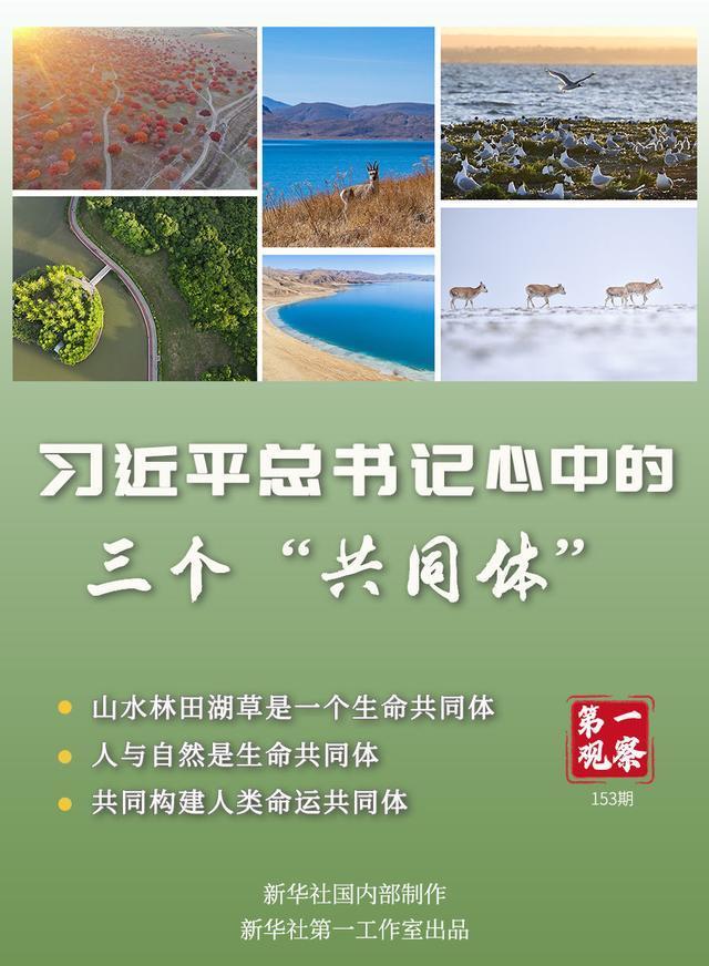 人与自然是生命共同体""共同构建人与自然生命共同体"……习近平生态