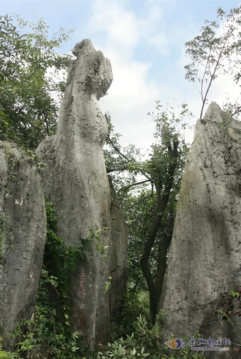 最快一小时飙拢,沙湾美女峰景区将于1月30日试营业 川观新闻