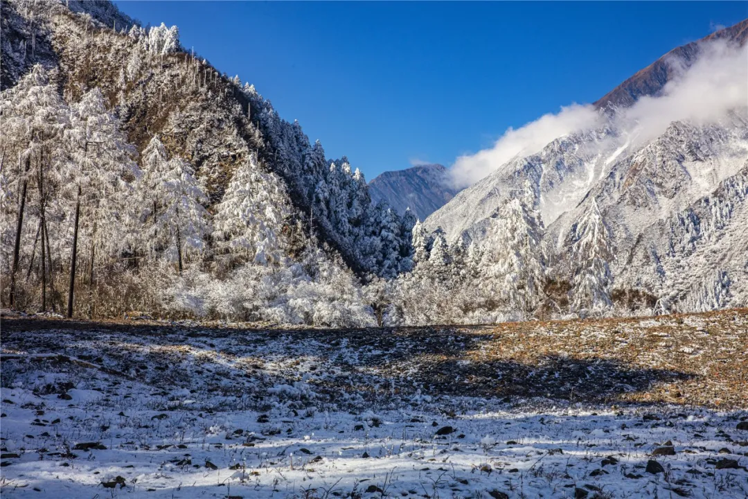 地址:石棉县草科乡田湾河自驾:成都-京昆高速-省道211-田湾河风景区