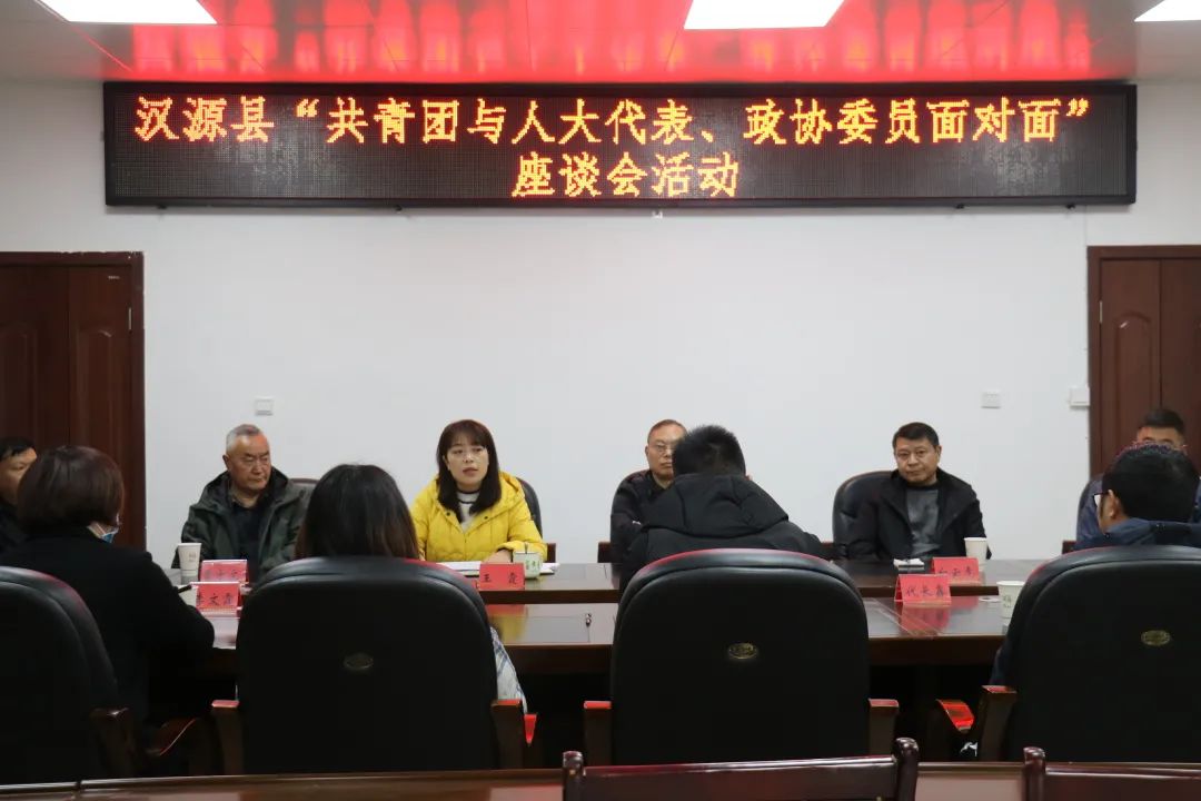 我为青年办实事汉源县开展共青团与人大代表政协委员面对面座谈会