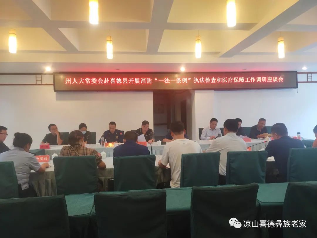 县人大常委会副主任马海吉沙,副县长,县公安局长尹浩,县医保,消防