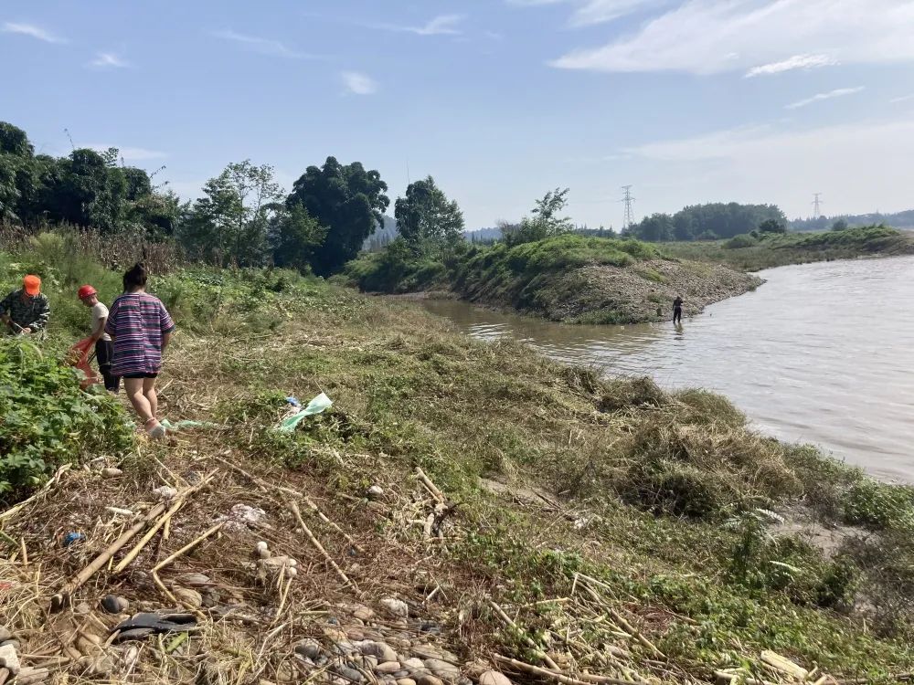 暴雨过后清理忙人员机具齐上阵及时清理河道垃圾维护环境保安全