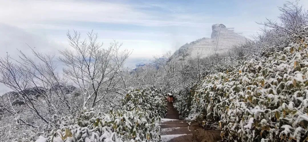 八台山今日雪景实拍宛如人间仙境