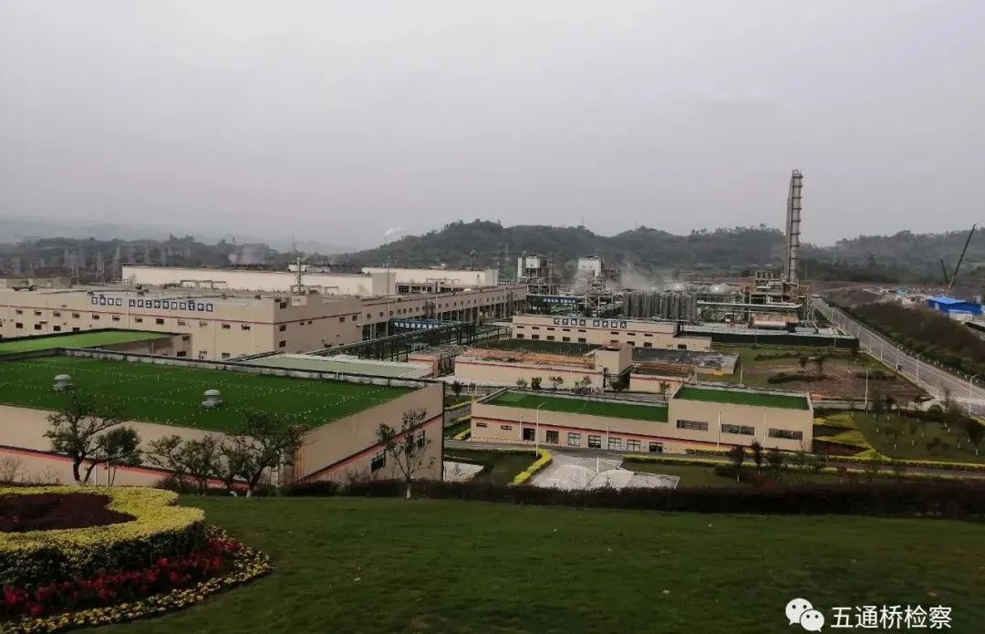 我为群众办实事助推绿色大硅谷建设
