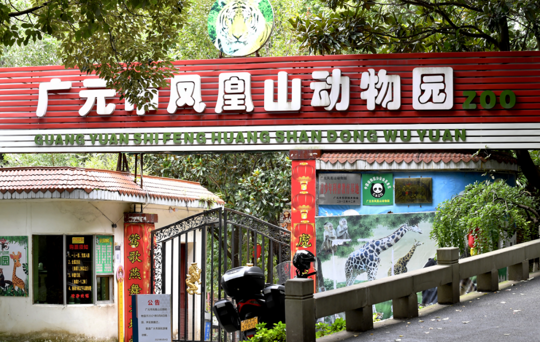 童年回忆没了广元凤凰山动物园已正式闭园