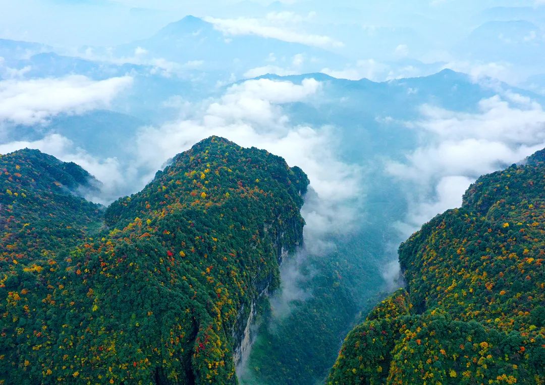 云深不知处这个秋天陪我去瓦屋山赏枫听秋可好