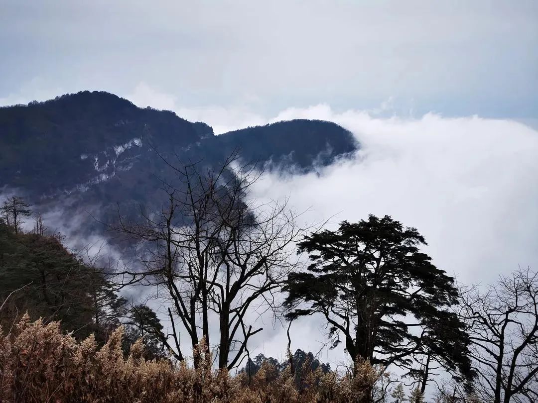 警察蜀黍为您分享峨眉山冬季的美景一定要来亲自看一看