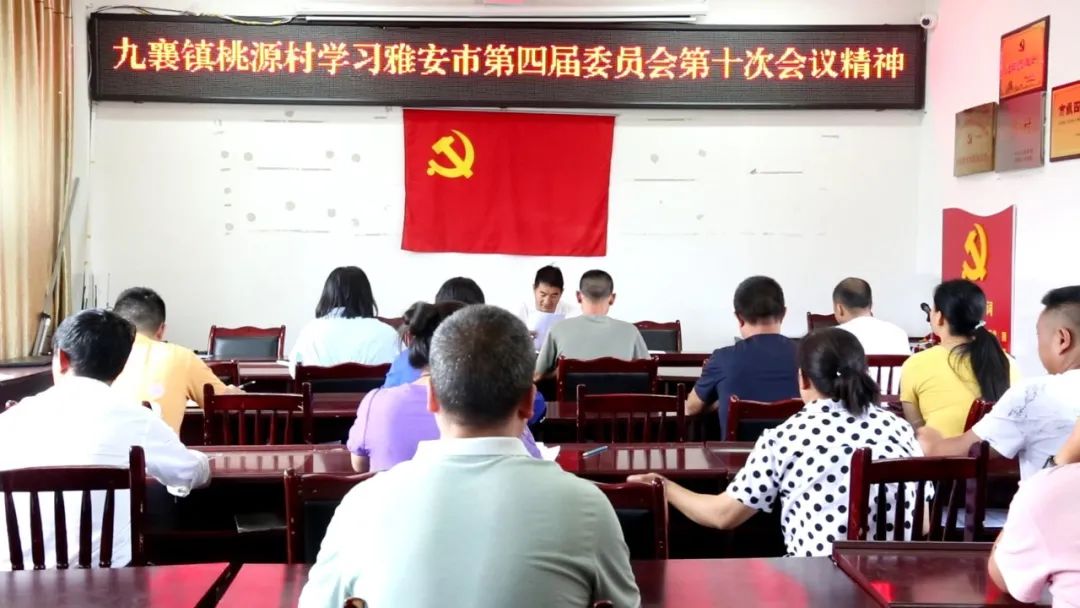 九襄镇桃源村贯彻学习市委全会精神抓好当前重点工作