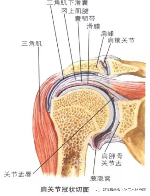 新都区第二人民医院超声引导下可视化精准治疗