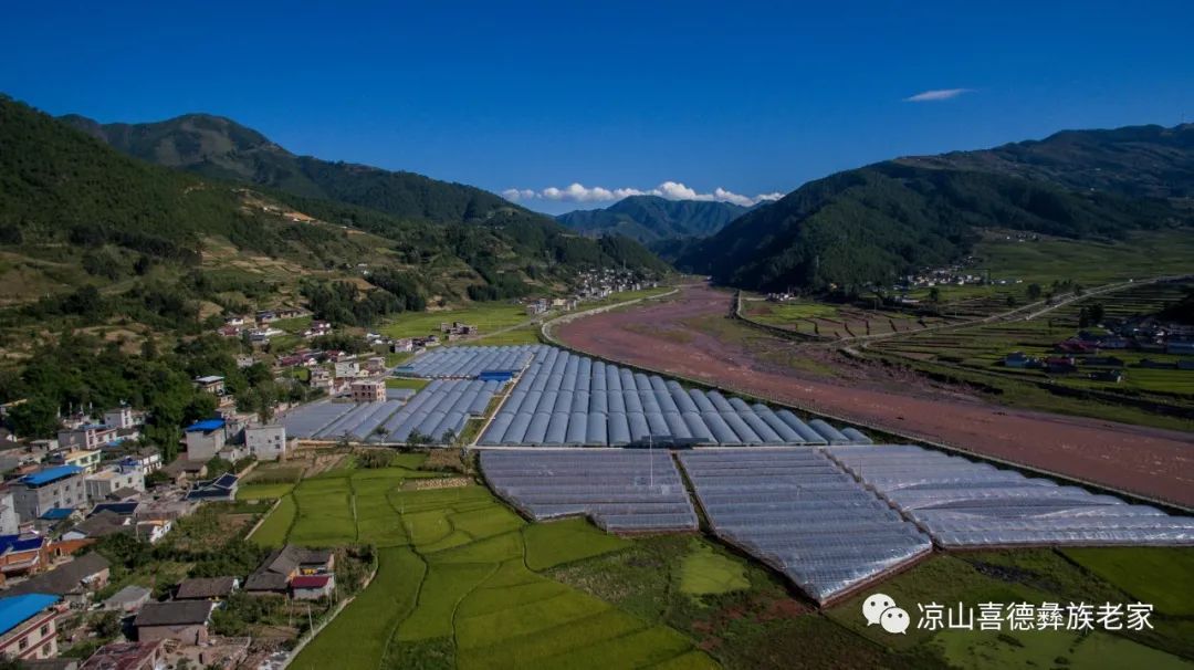 抢抓建设中国农业硅谷机遇创建大凉山高端有机特色农业示范区喜德县