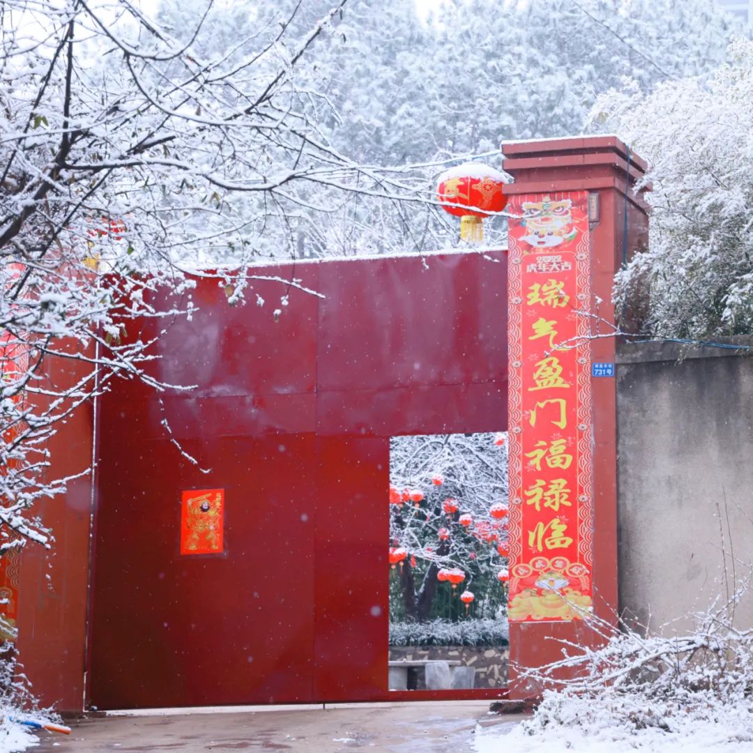 瑞雪兆丰年|虎年盐源第一场雪掠影 川观新闻
