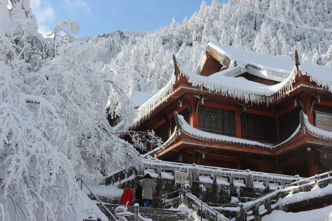 峨眉山春雪纷飞绝美雪景续写冬奥情缘